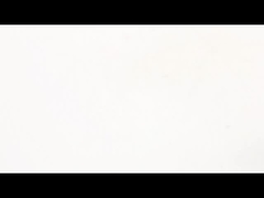 NEMA 11 โมเตอร์ขนาบลูกกลม ขั้นตอน โรงไฟฟ้าของความแม่นยํา